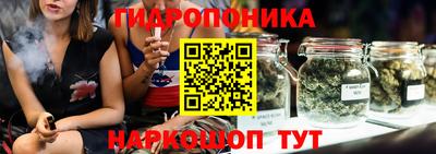 jwh Нальчик