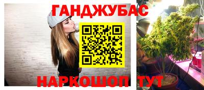jwh Нальчик