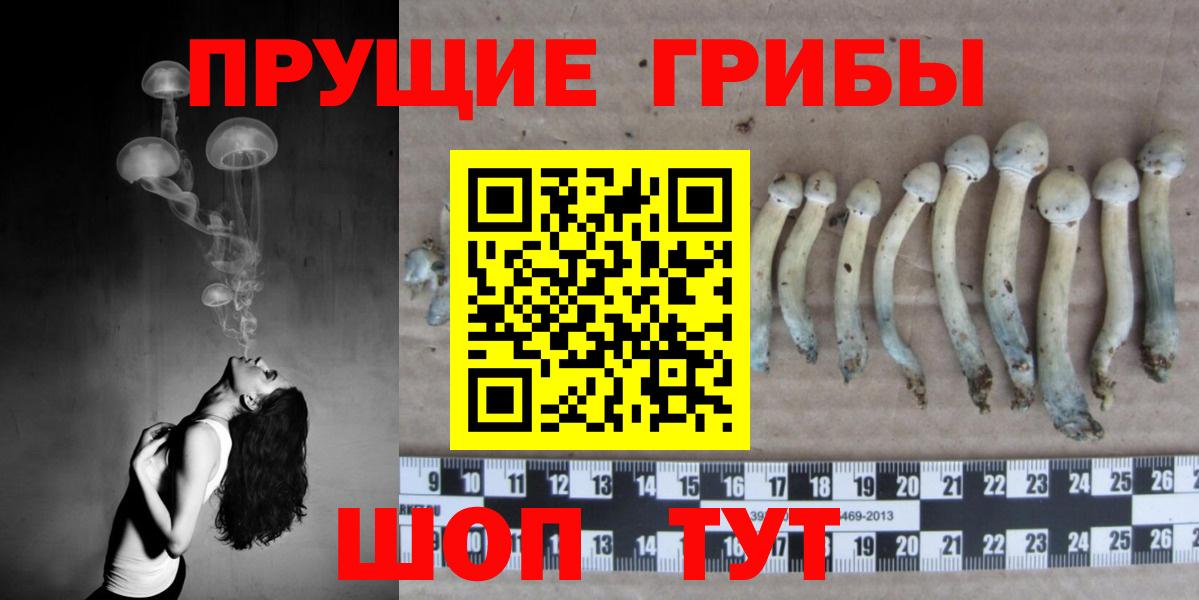 где найти наркотики  Псилоцибиновые грибы MAGIC MUSHROOMS  Вход с VPN  Старая Купавна 