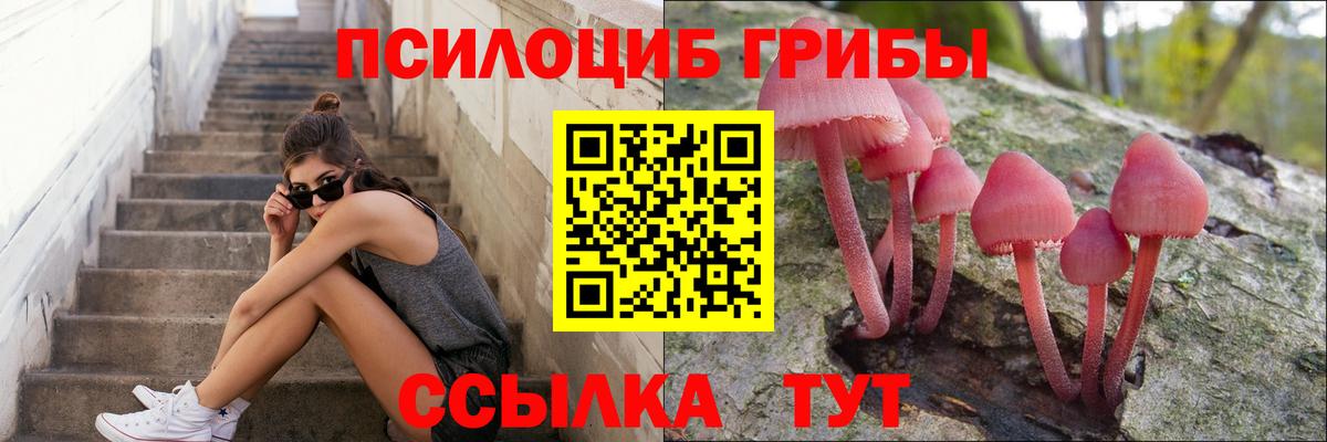 Галлюциногенные грибы мухоморы Старая Купавна